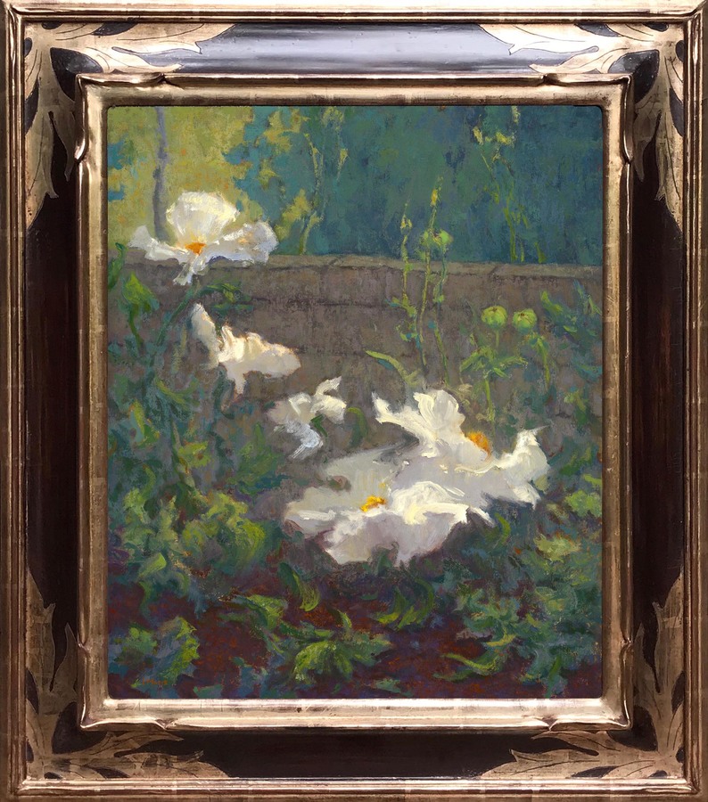 JENNIFER MOSES - "Matilija Poppies, Spring Bloom" - Oil - 24" x 20"
