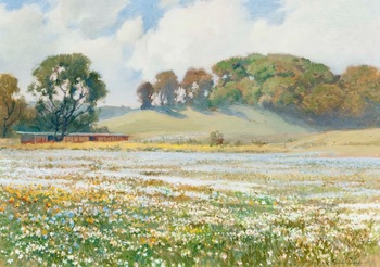 PERCY GRAY - "Marin County Wildflowers" - Oil on Canvas - 20" x 27"
