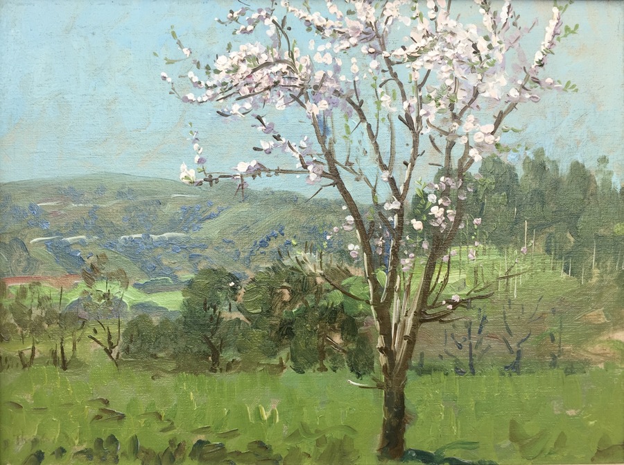 THEODORE WORES - "A Harbinger of Spring, Almond Blossoms, Los Altos, CA." - Oil on Canvas - 12 1/4" x 16"