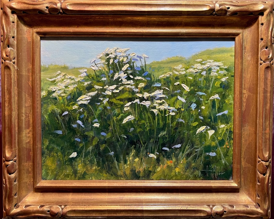 SCOTT HAMILL - "Calla Lily Patch" - Oil - 12" x 16"