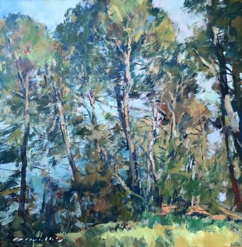Charles Movalli - "Monterey Pines" - Acrylic on canvas - 30" x 30"